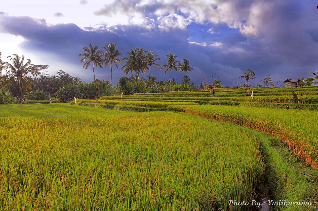 Tetirah Boutique Hotel Ubud  Ngoại thất bức ảnh